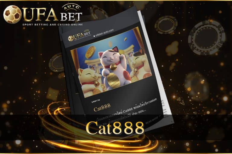 Cat888